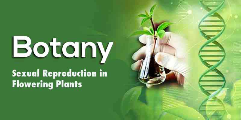 REPRODUCTION IN FLOWERING PLANTS