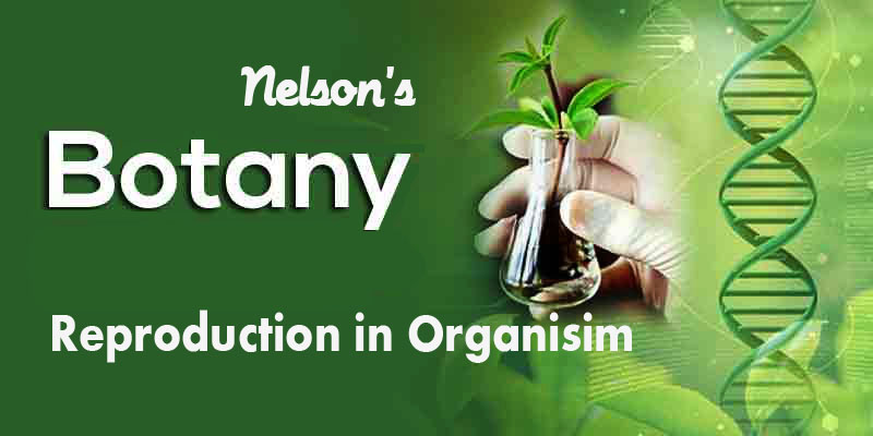REPRODUCTION IN ORGANISIM