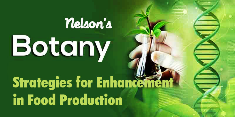 STRATEGIES IN FOOD PRODUCTION