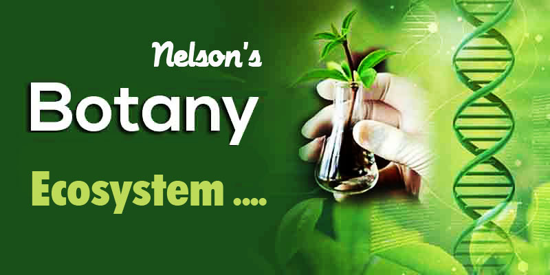 ECOSYSTEM