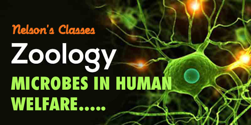 MICROBES IN HUMAN WELFARE