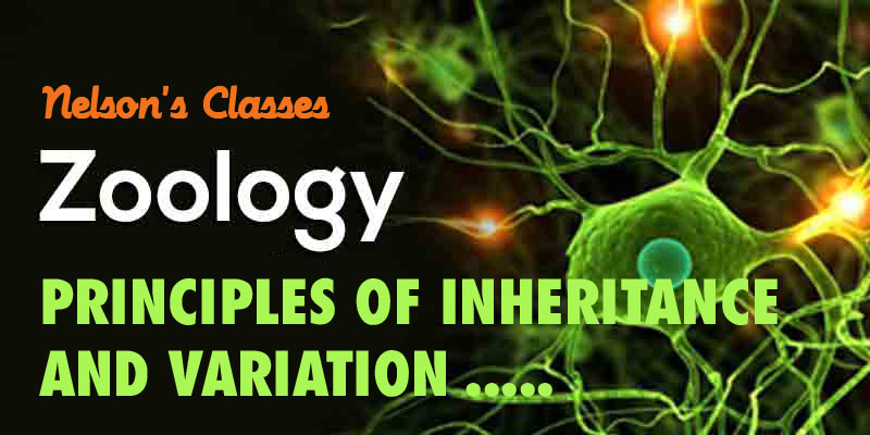 PRINCIPLES OF INHERITANCE AND VARIATION….