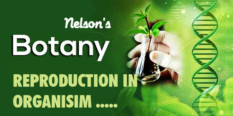 REPRODUCTION IN ORGANISMS….