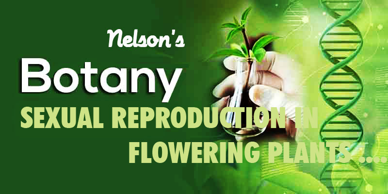 REPRODUCTION IN FLOWERING PLANTS…