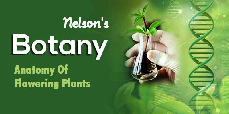 ANATOMY OF FLOWERINGNP LANTS