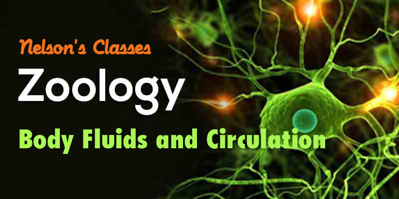 BODY FLUIDS AND CIRCULATION