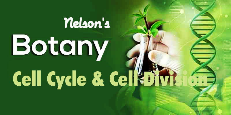 CELL CYCLE AND CELL DIVISION