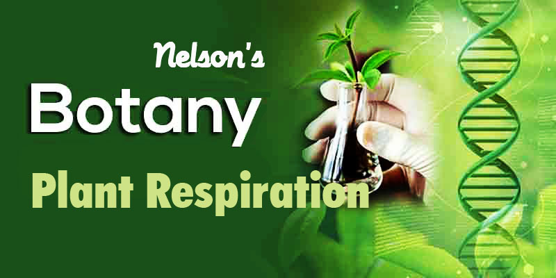 PLANT RESPIRATION….