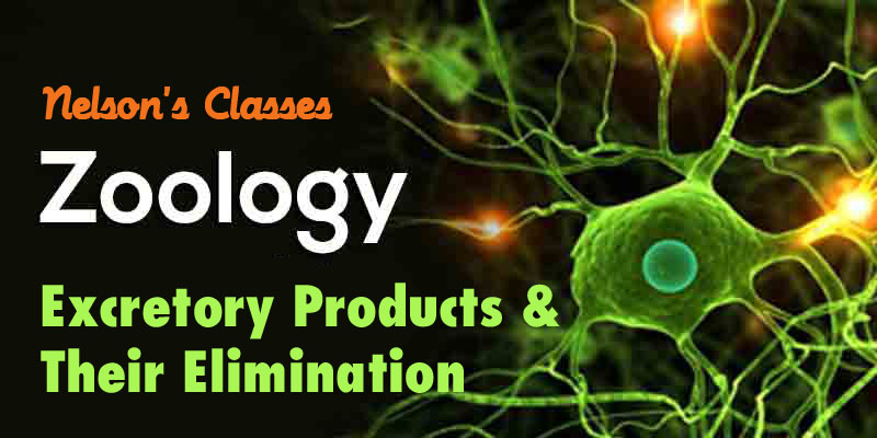 EXCRETORY PRODUCTS …….