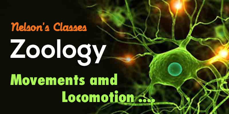 MOVEMENTS AND LOCOMOTION….